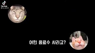 이에로사이다
