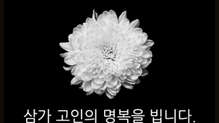 미국 민주당 의원 총격으로 사망