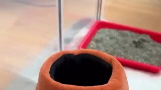 유진이