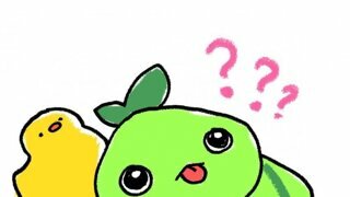 캐나다 근황