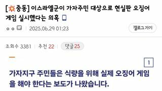 이스라엘군이 가자지구에서 오징어게임 같은 일을 벌이고 있다는 의혹