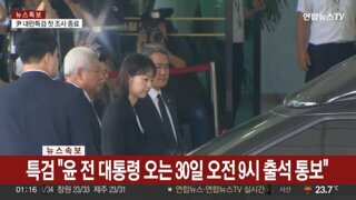 특검 윤석열 