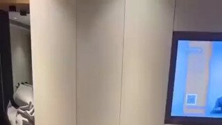 스핑크스 냥이 싸우는 소리