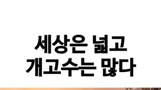 개고수